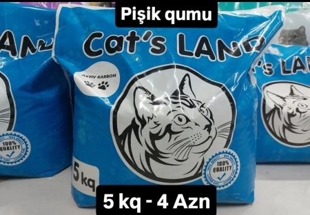 Pişik qumu