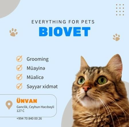 Müayinə