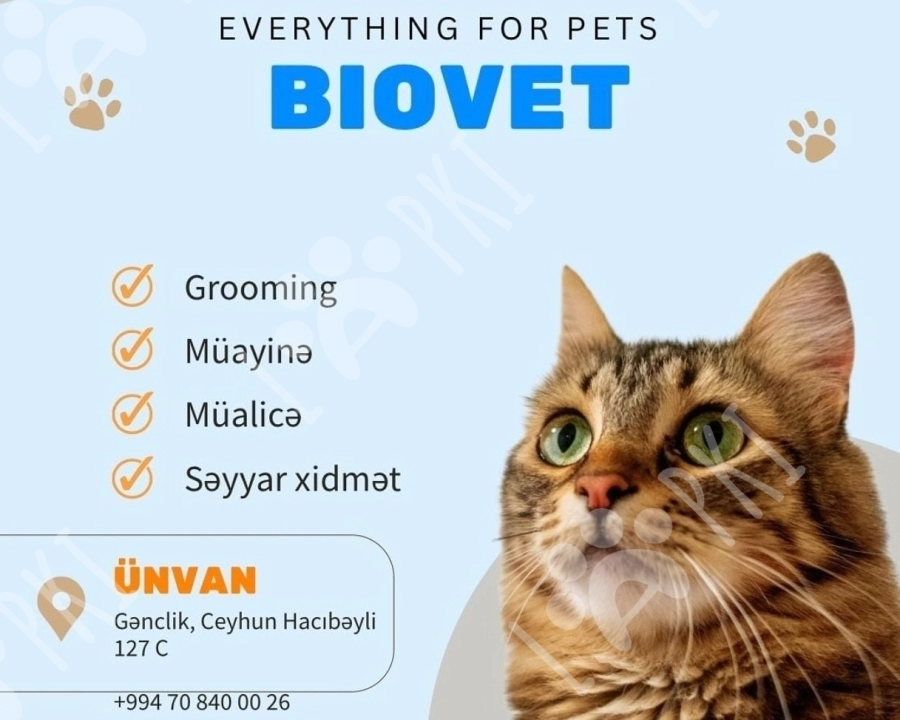 Gigiyenik grooming