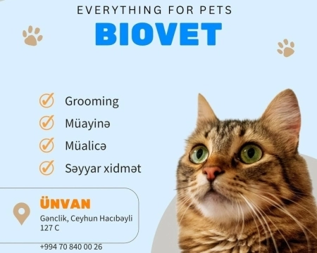 Gigiyenik grooming 