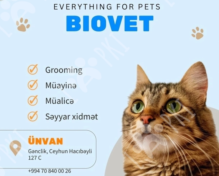 Kompleks grooming