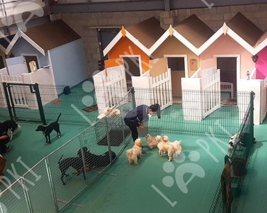 It ve pişiklər üçün otel xidmətləri