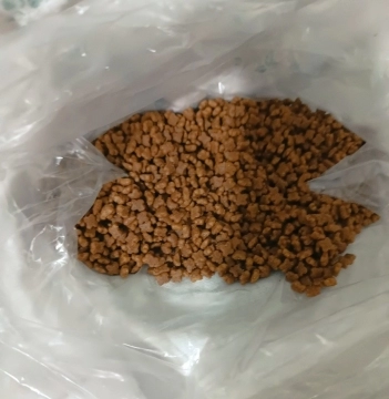 Şotlant