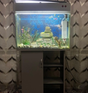 Akvarium