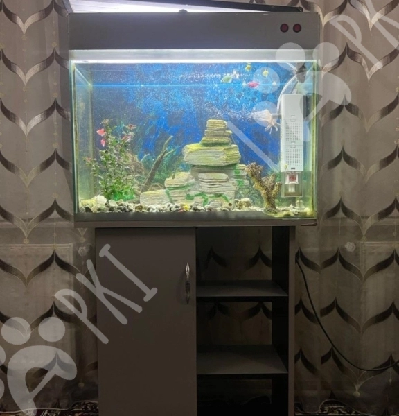 Akvarium