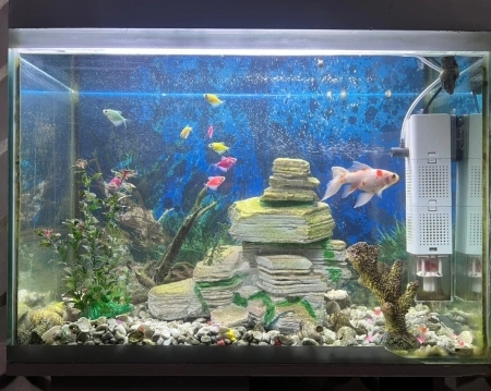 Akvarium