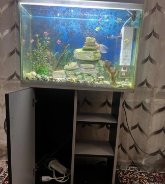 Akvarium