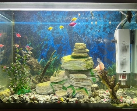 Akvarium