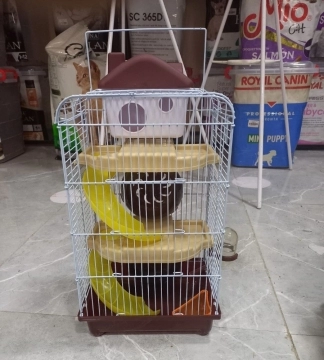 Hamster qefesler