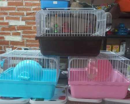 Hamster qefesler