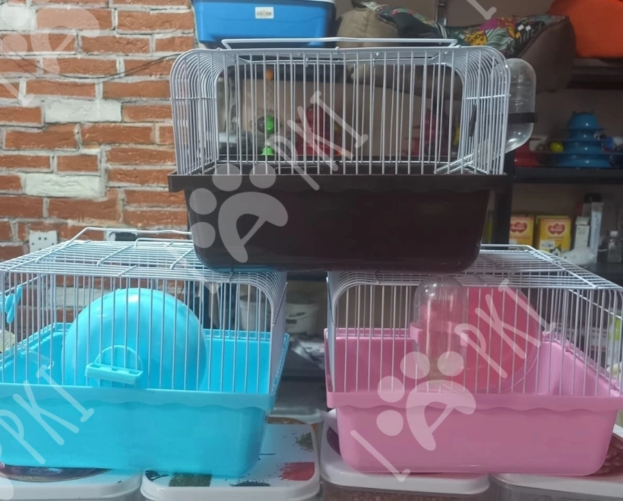 Hamster qefesler