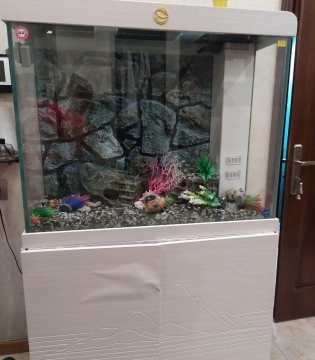 Akvarium