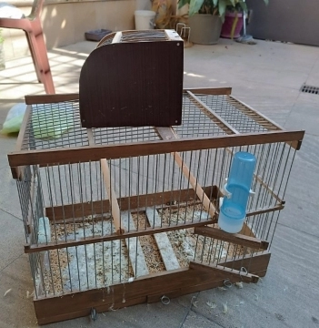 Bül bül qəfesi