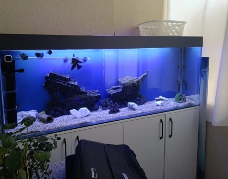 Akvarium 450lt