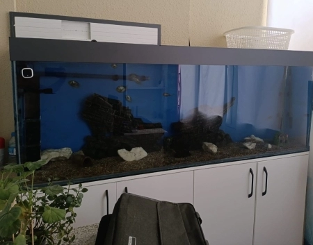 Akvarium 450lt