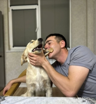 Golden retriver balası