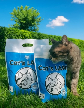 Cats Land – Təbii, Ucuz , Keyfiyyətli Pişik Qumu 