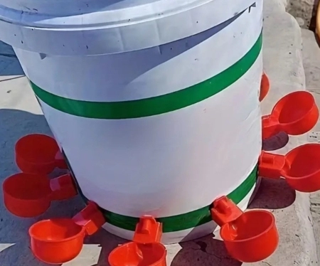 Su qabı (Nipel)