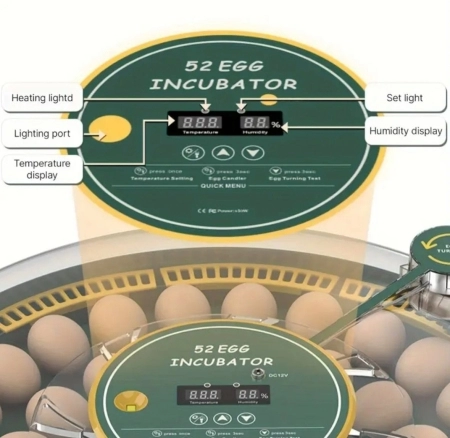 Inkubator
