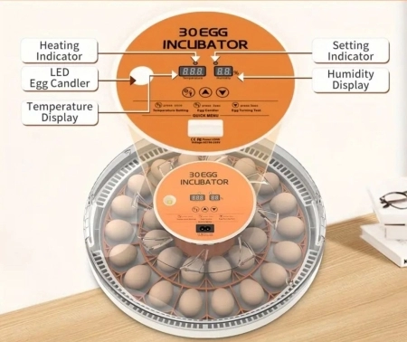 Inkubator