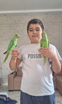 Tutuquşular