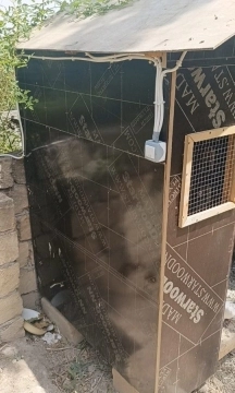 Quş damı