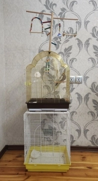 Qəfəslər