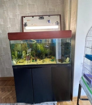 Akvarium