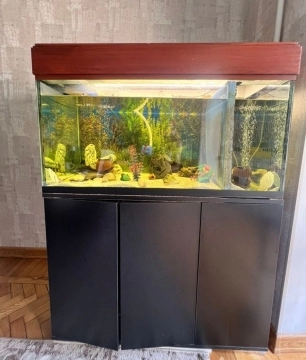 Akvarium