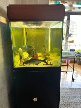 Akvarium
