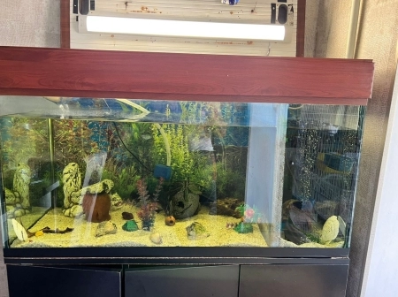 Akvarium