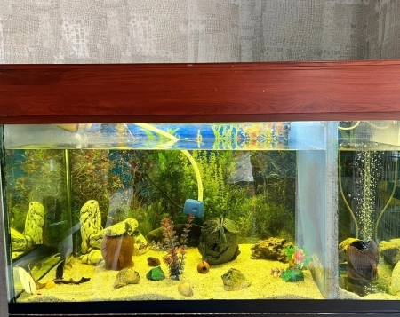 Akvarium