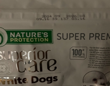 Nature Protection White dog