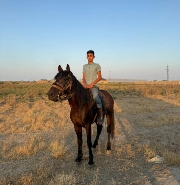 Yorğa at