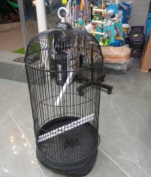 Quş qəfəsləri